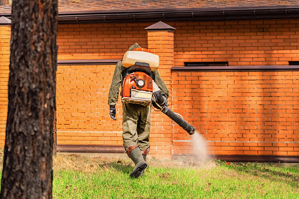 Trusted Emergency Pest Control service in South Fulton, TN - Nex Pest Control